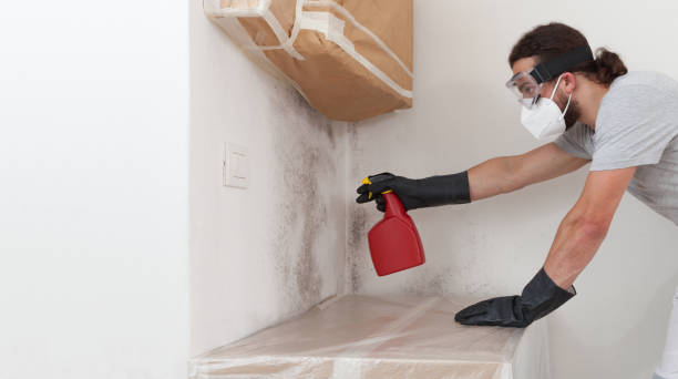 Professional Attic Mold Removal technician working in Ho-Ho-Kus, NJ