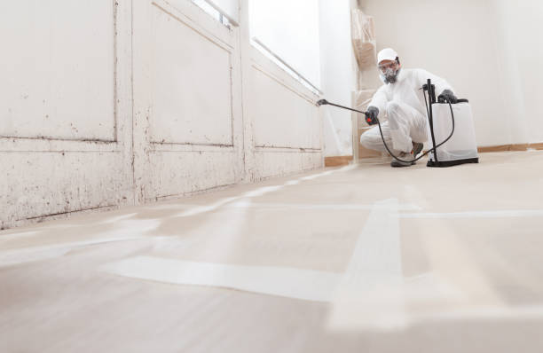 24/7 Emergency Attic Mold Removal experts in Ho-Ho-Kus, NJ