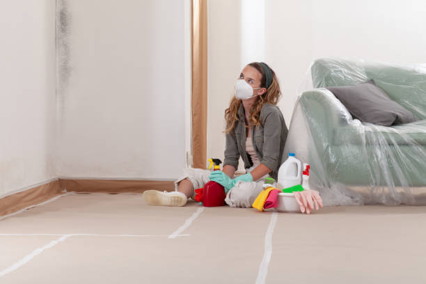 Reliable Basement Mold Removal contractor in Ho-Ho-Kus, NJ by Cheap Mold Removal